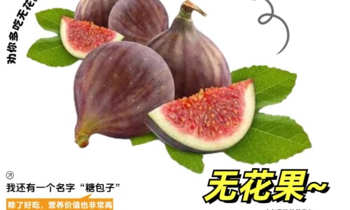 茶化石碎银子功效与作用及禁忌-茶化石碎银子功效与作用-专业为什么不建议喝碎银子平台-为什么不建议喝碎银子