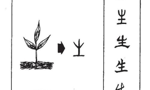 茶化石碎银子功效与作用及禁忌-茶化石碎银子功效与作用-专业为什么不建议喝碎银子平台-为什么不建议喝碎银子