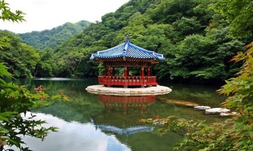 茶化石碎银子的真面目-茶化石碎银子功效与作用-专业为什么不建议喝碎银子平台-为什么不建议喝碎银子